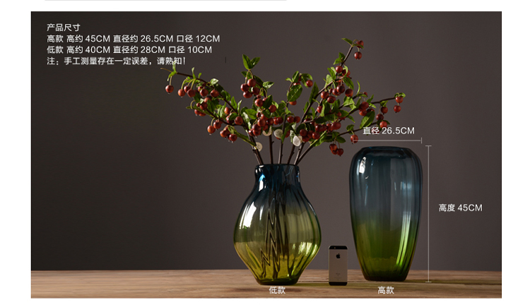 Simple transparent glass vase (2).jpg